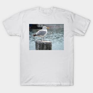 Gull King T-Shirt